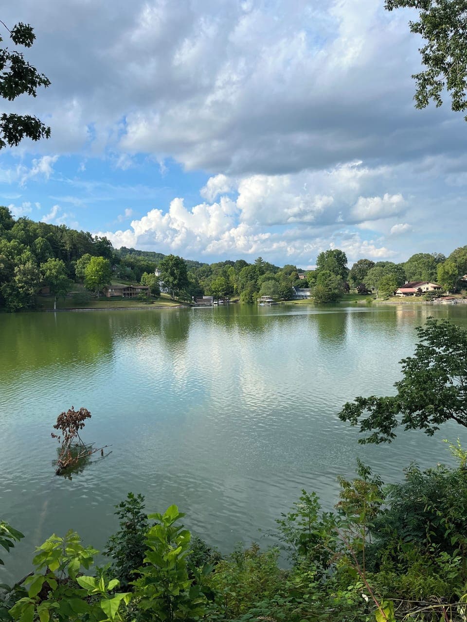 Stunning lake view from the propety.
