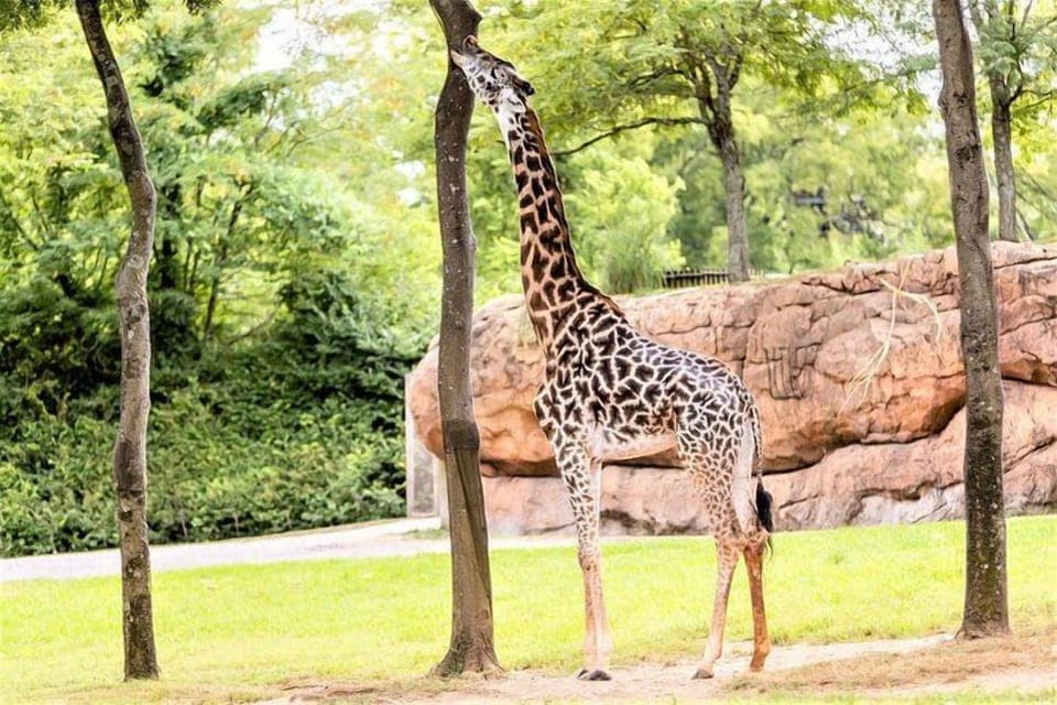 Explore memorable local wildlife experiences just a short drive away.