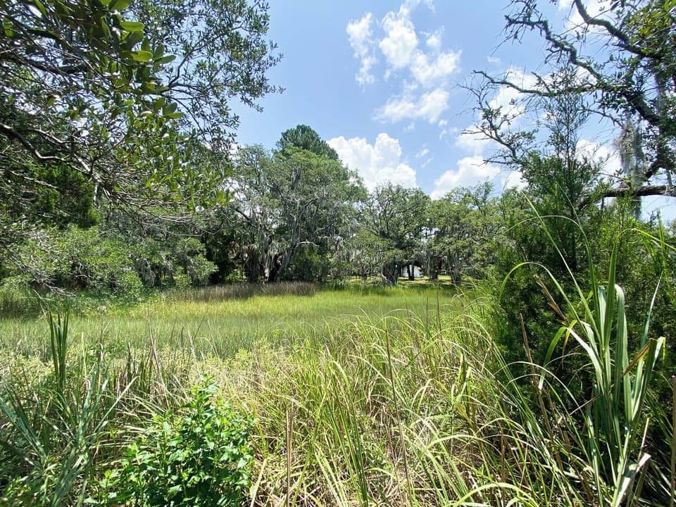 Backyard marsh views!