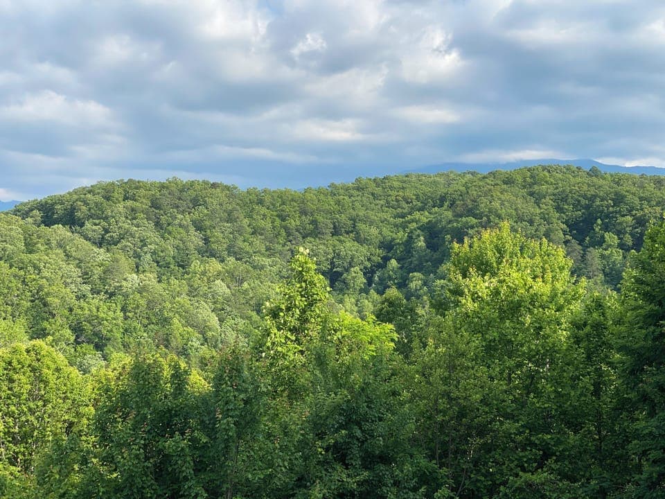 summer view