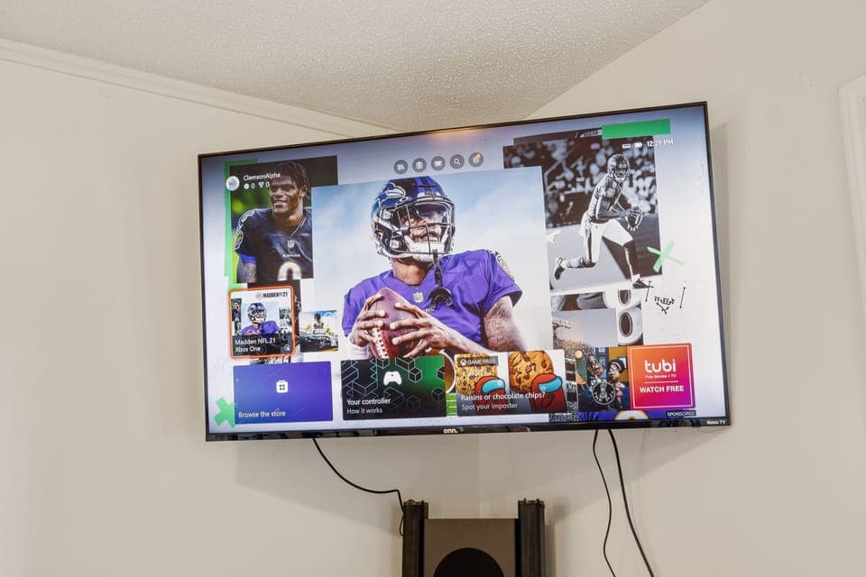 Television
