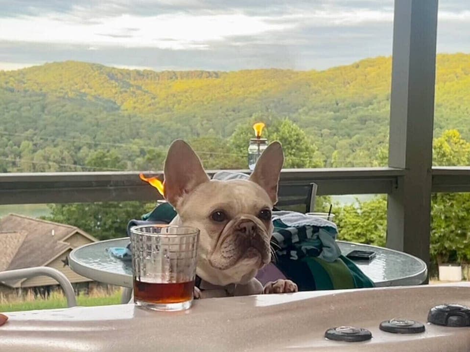 View from PRIVATE hot tub overlooking lake and mountains.  Dog not included.