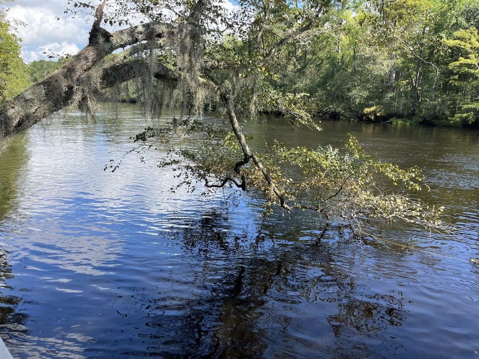 View from the dock